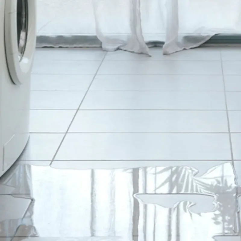 Appliance Leak Cleanup in Alorton, IL