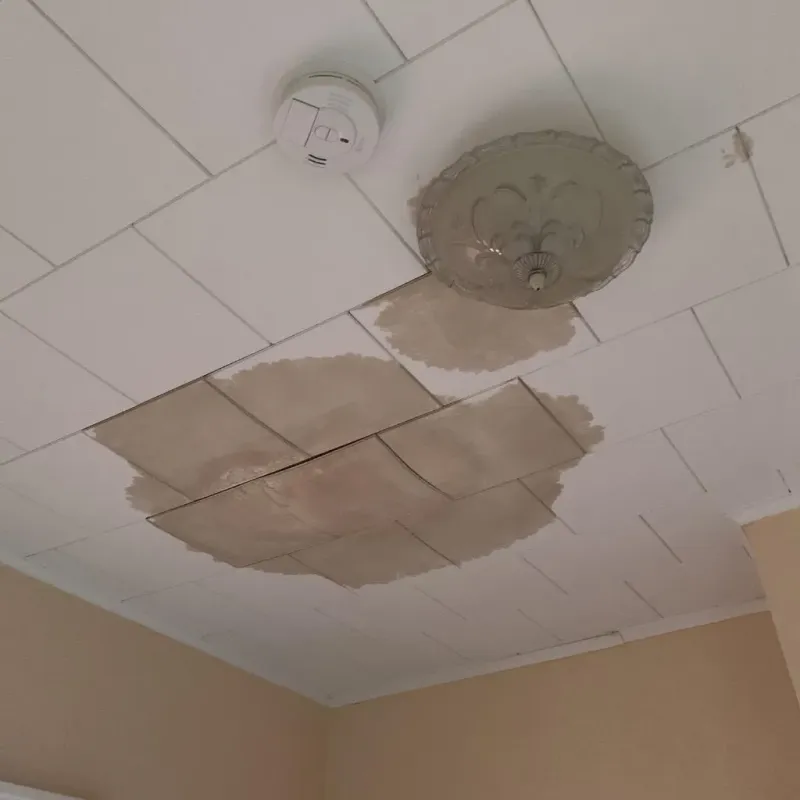 Ceiling Water Damage Repair in Alorton, IL