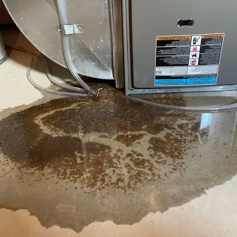 Pipe Burst and Leak Restoration in Alorton, IL