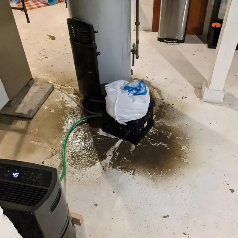 Sewage Backup Cleanup Service in Alorton, IL